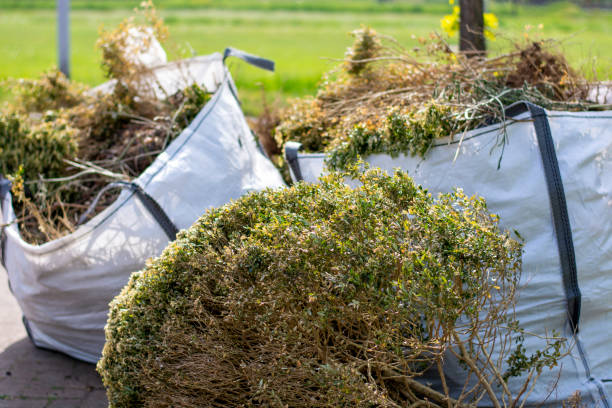 Best Mattress Disposal  in Pocahontas, IA